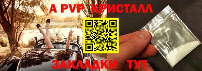 альфа пвп Кингисепп
