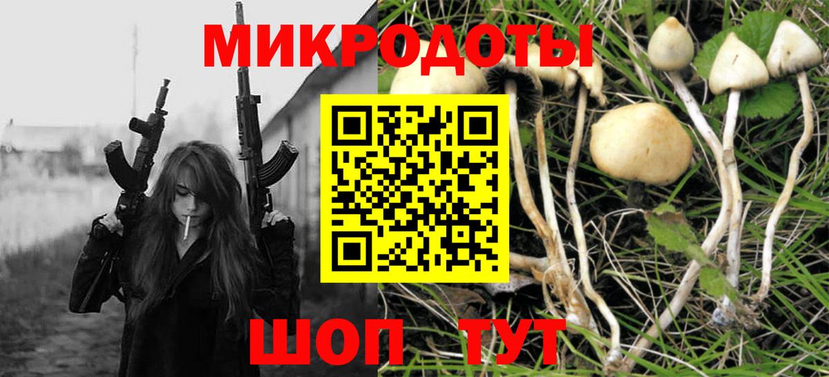 Краснознаменск  Псилоцибиновые грибы Psilocybe  Вход с VPN 